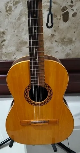 Viola Delvecchio REF 2000