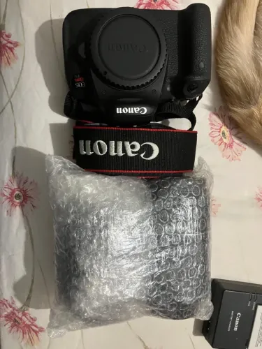 Canon EOS Rebel T5i + Lentes