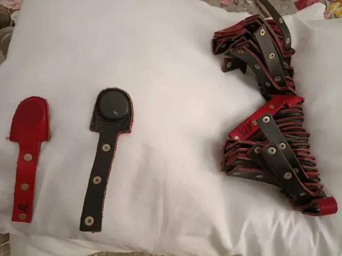 Imã bio magnetismo