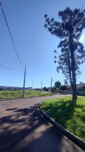 Terreno Padrão em Paiçandu