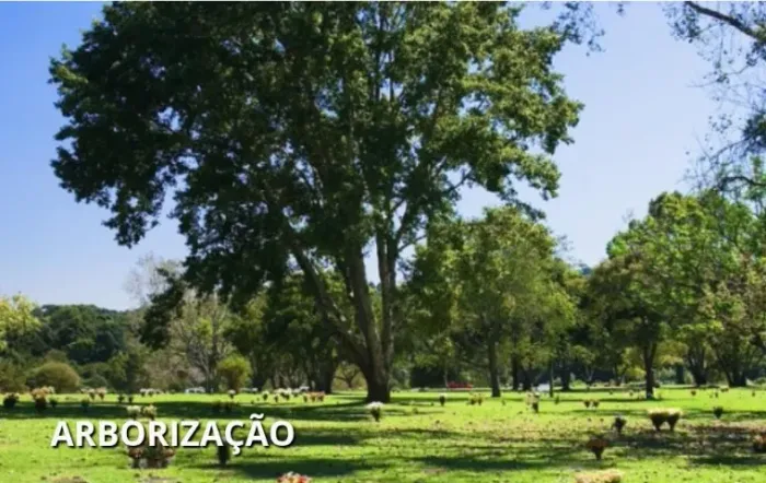 Terreno Jazigo Cem. Parque Iguaçu - Nunca Utilizado