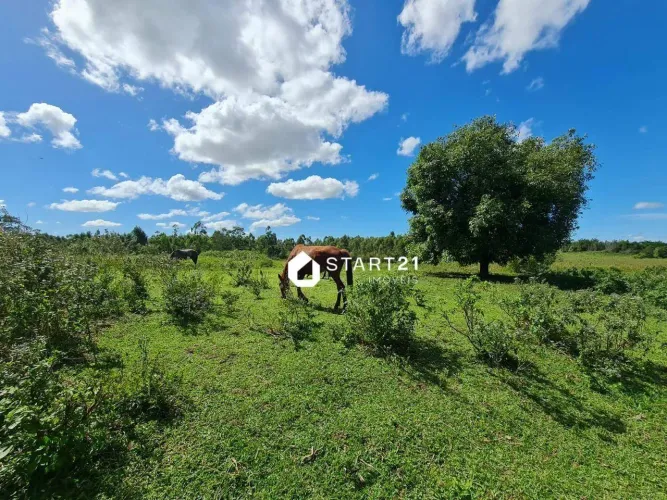 Fazenda à venda - Araruama/RJ