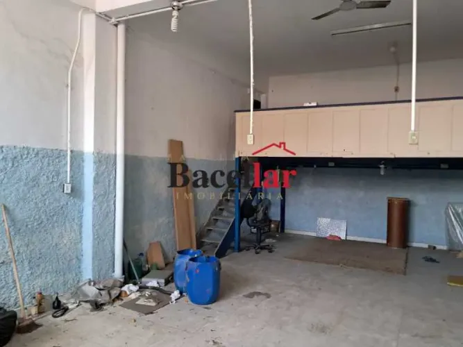 Loja : / Comercial / Jacaré