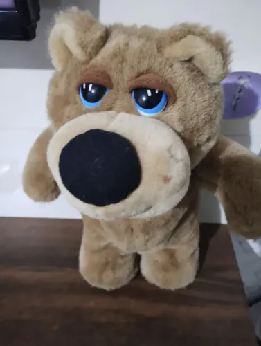 Urso Barto estrela