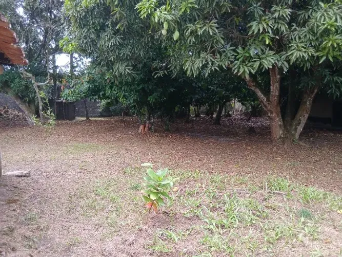 Lote Exclusivo 10x30m em Rua Sem Saída - Águas Brancas (Todo Murado)