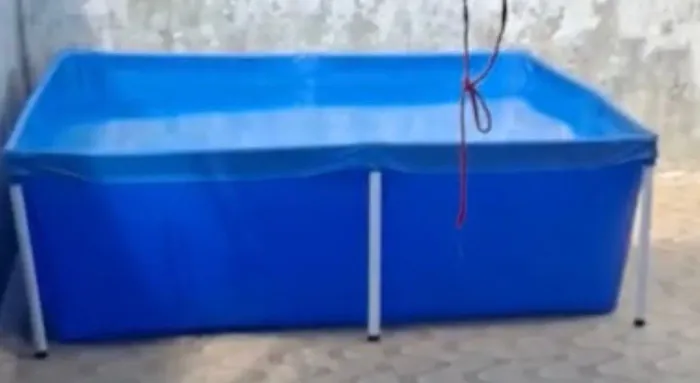 Piscina plástica 