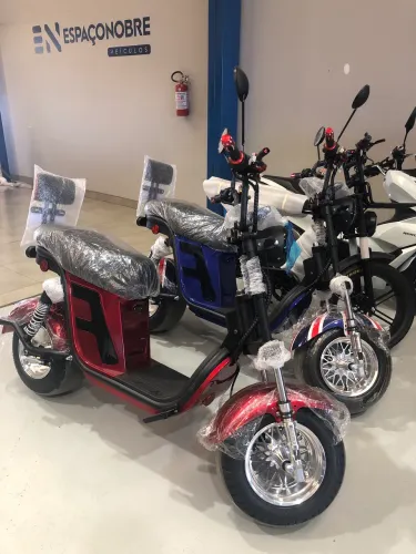 Scooter Elétrica 1000 W Okm