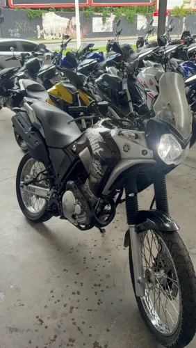 Yamaha XTZ 250 Tenere Blueflex 2019