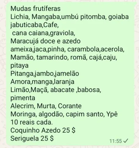 Mudas frutíferas 10 reais cada 