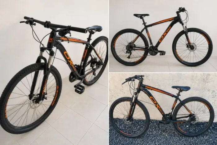 Bicicleta