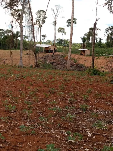 Troca-se por dinheiro  ou pix hectares terra no ramal do flaviano( ramal asfaltado)o incra