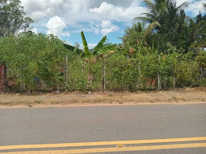 Vendo terreno [ BICUDA PEQUENA ]