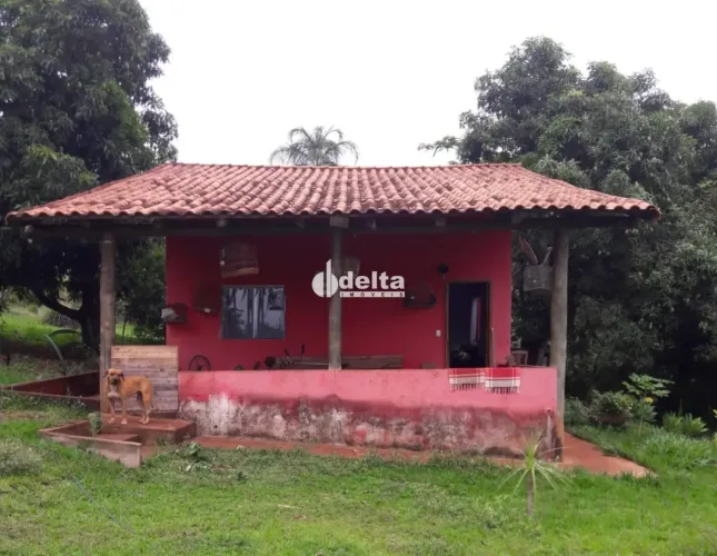 Sítio disponível para venda a 35 km de Uberlândia-MG