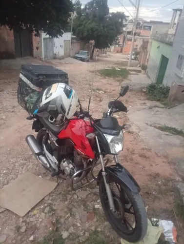 Fan 2019
