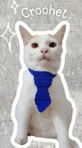 GRAVATINHA ANIMAL DE ESTIMAÇÃO