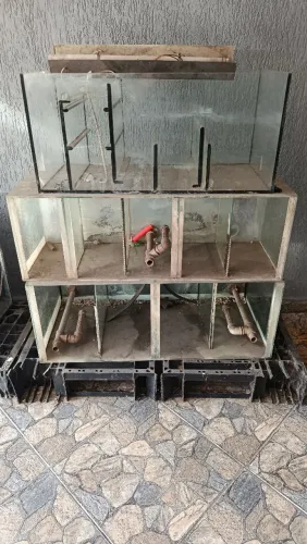 Bateria com quatro aquários e base de Metalon
