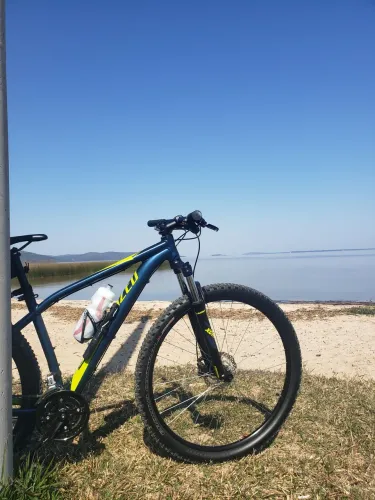 Specialized Rockhopper Sport Aro29