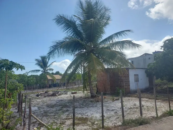 Terreno linha verde