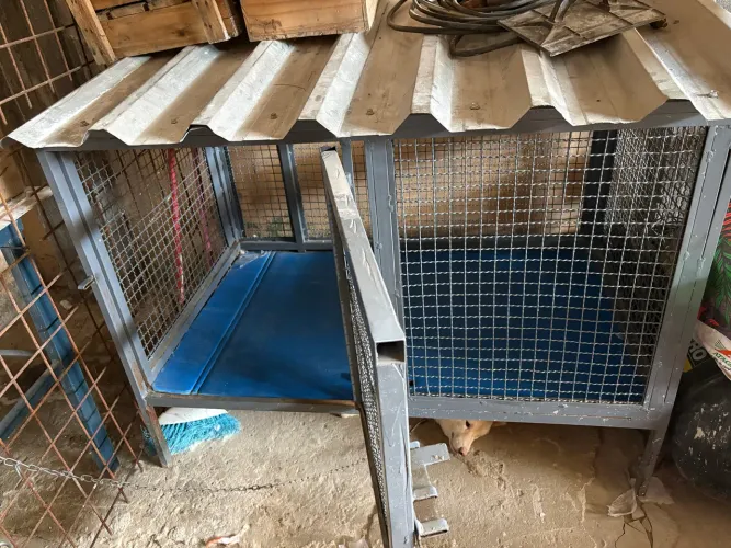 Casa para cachorro grande 