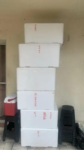Caixa de isopor 