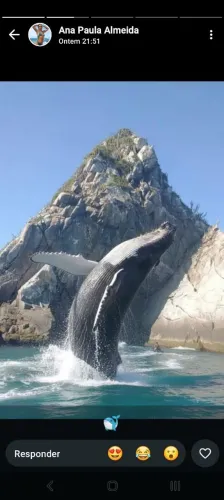 Passeios diversos e divertido no paraíso