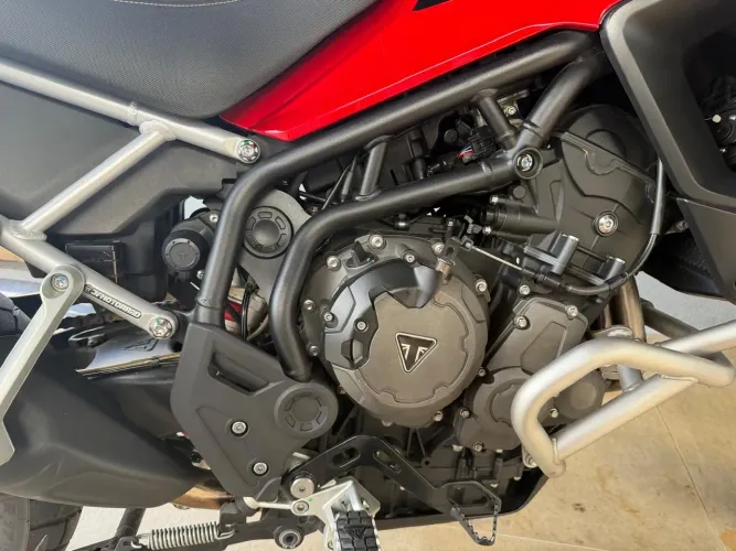 Tiger 900 gt pro