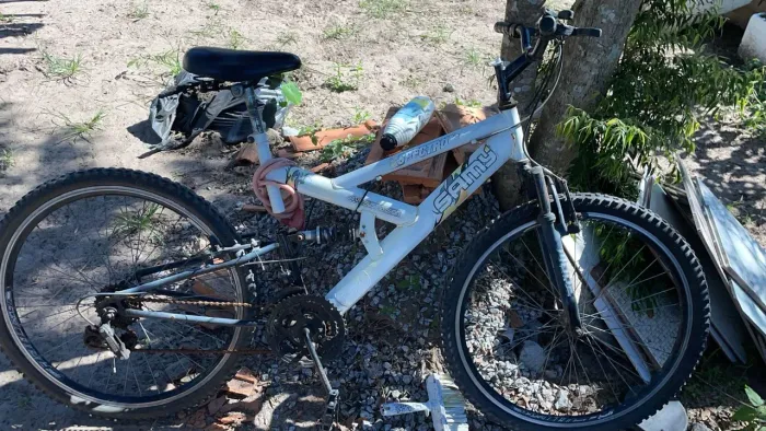Bicicleta