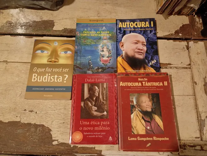 Lote de livros - Budismo
