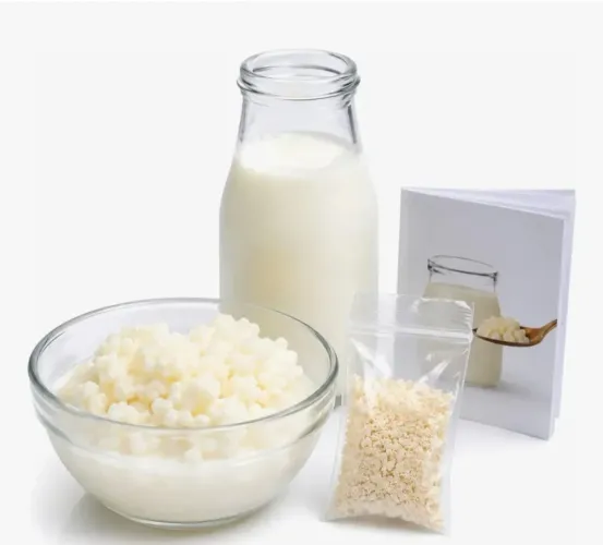 Muda de kefir do leite