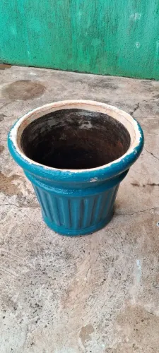 Planta Palmeira Grande Vaso e Planta