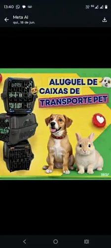 Aluguel de caixas de transporte pet 