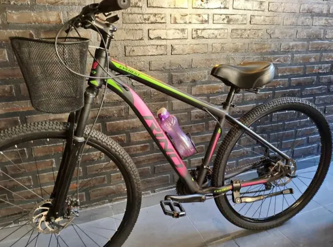 Bike Rino Everest aro 29