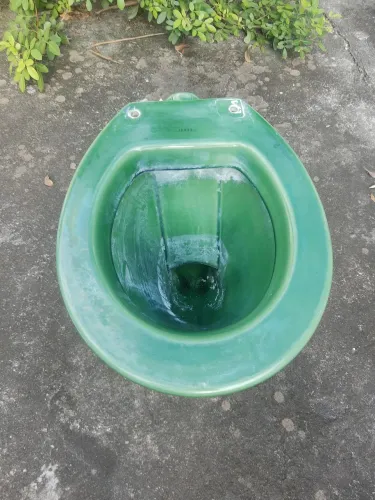 Vaso sanitário verde