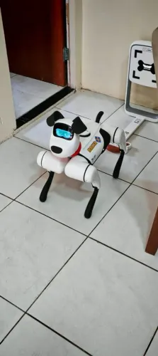 Robô  alfadog 