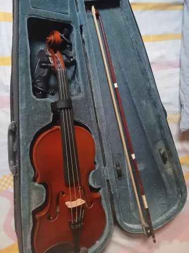 Violino