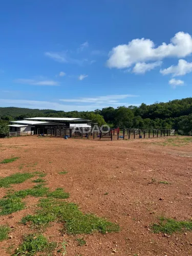 Fazenda 116 alqueires Faina GO