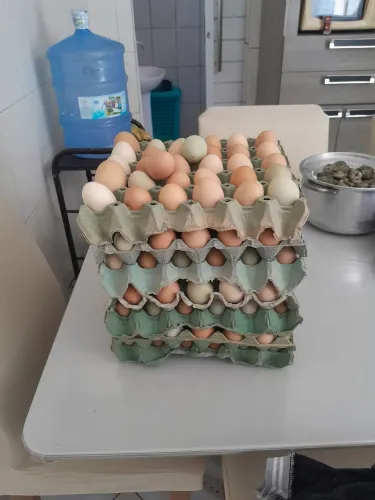 Ovos direto do sítio promoção