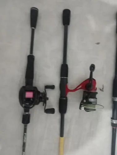Vara de Pesca