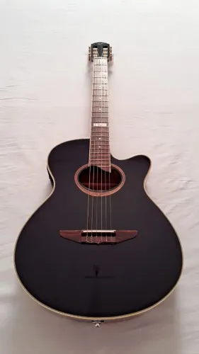 Violão Tagima