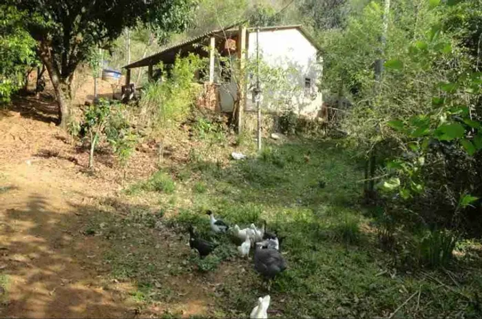 Vendo Chácara com 9.600 mts aproximadamente