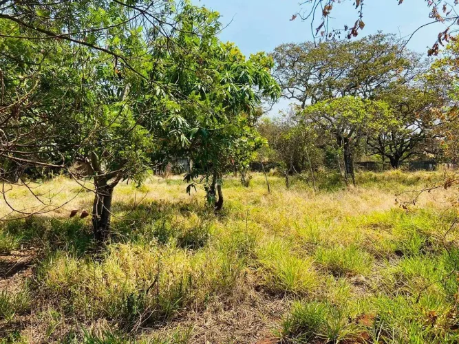 Chacara à venda, Vivendas Santa Mônica - Igarapé/MG