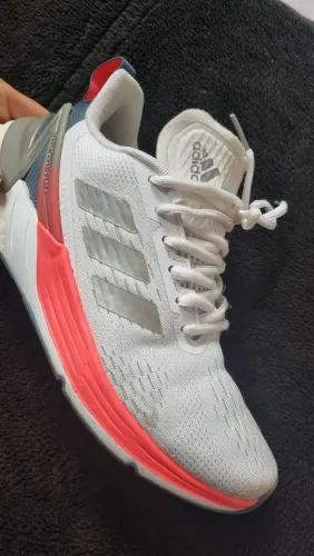 Tenis