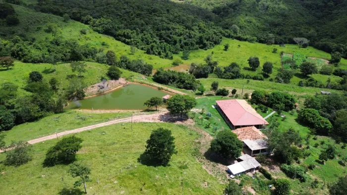 Fazenda Cultura 61 Alqueires - Itapuranga-Go