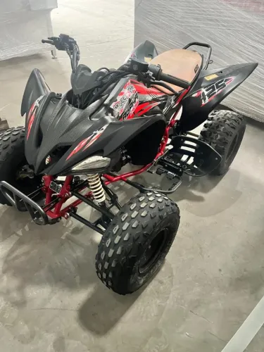 QUADRICICLO X-RAPTOR 125 CC BUGGY&CIA