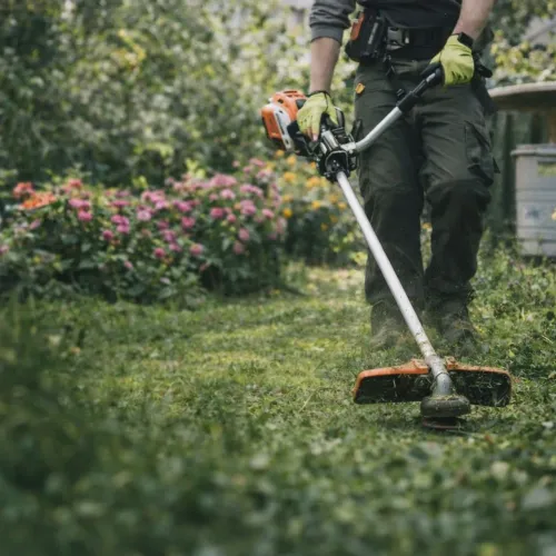 Corte de Grama e Manutenção de Jardim