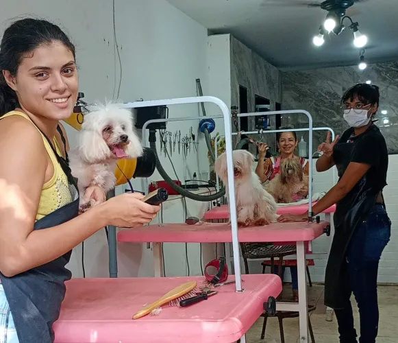 Curso Banho e Tosa Profissionalizante 