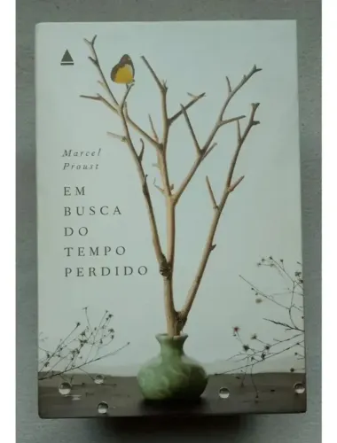 box em busca do tempo perdido marcel proust 2017