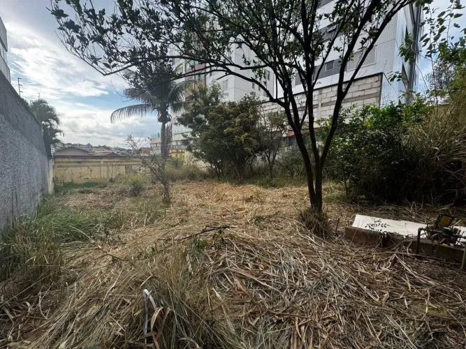 Terreno à venda no bairro Castelo em Belo Horizonte/MG