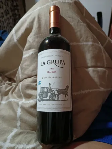 Bebida