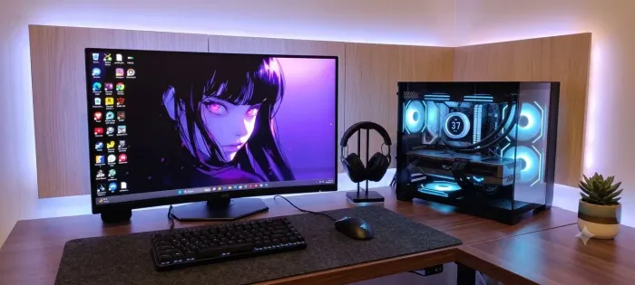 PC gamer